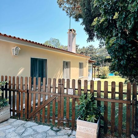 Casa Girassol With A Beautiful Private Pool And Garden Villa Sintra Exterior photo